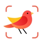 Logo of Picture Bird - Bird Identifier android Application 