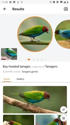 Picture Bird - Bird Identifier android App screenshot 1