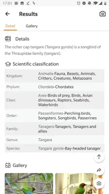 Picture Bird - Bird Identifier android App screenshot 2