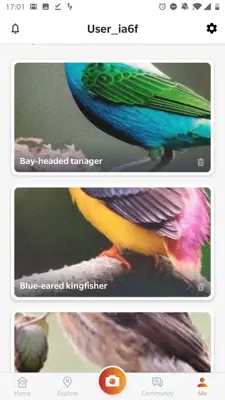 Picture Bird - Bird Identifier android App screenshot 3